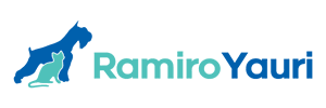 Ramiro Yauri+ - 